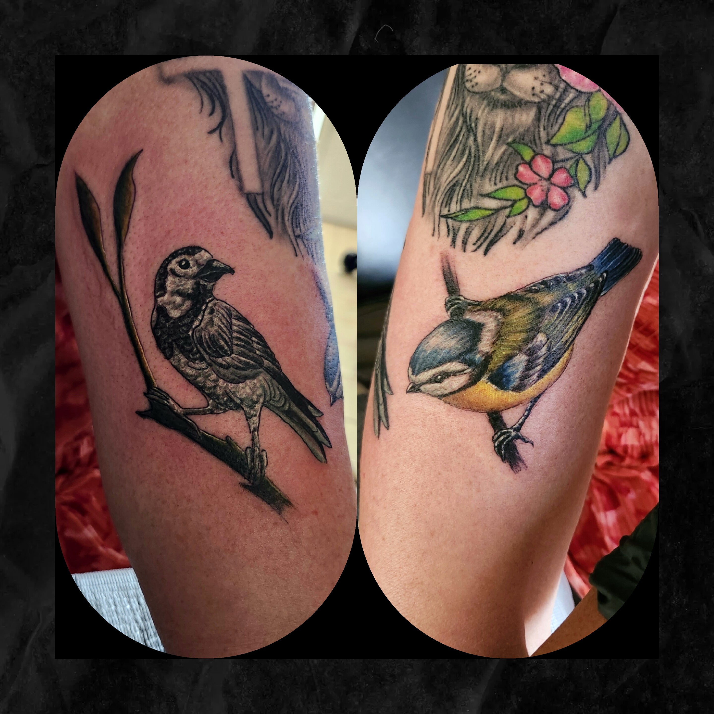 Tattoos by Martin